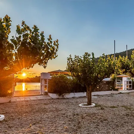 Psarianos Beachfront Panormos (Skopelos)