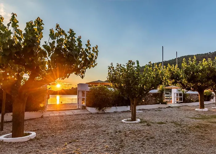 Psarianos Beachfront Panormos (Skopelos)